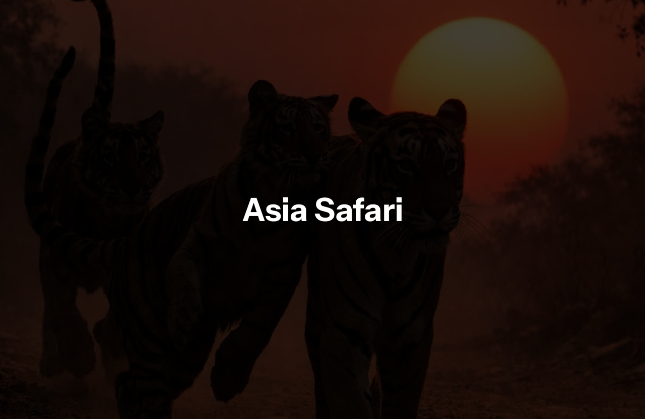 Web design project by Aasif Khan — ICR8IVE Studio Punjab